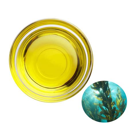 Algal Extract Oil Docosahexaenoic Acid DHA Algae Oil 40 China DHA