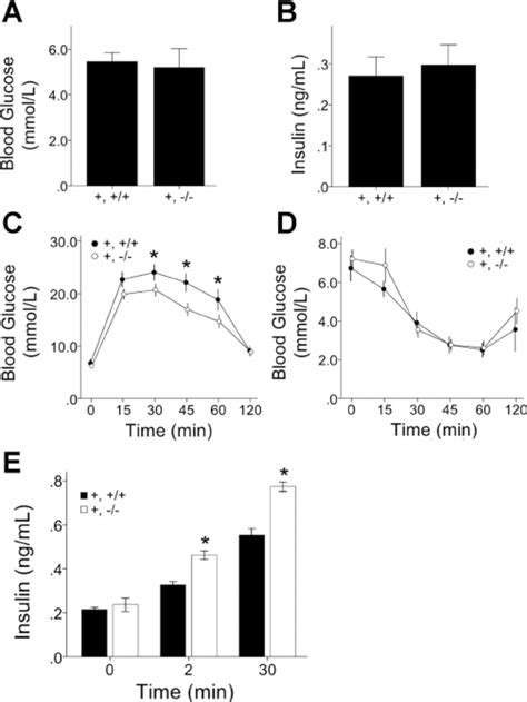 Role Of ␤ Cell Fas In Glucose Homeostasis And ␤ Cell Function A