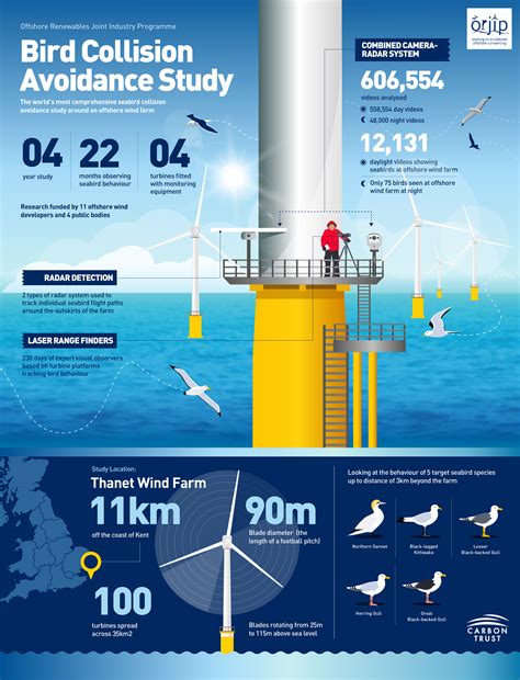 Risk Of Seabirds Colliding With Offshore Wind Turbines Lower Than