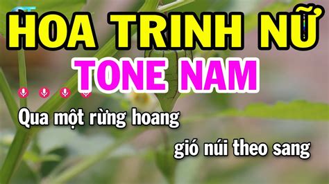 Karaoke Hoa Trinh N Tone Nam E Nh C S Ng Beat M I Karaoke