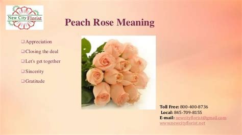 MEANING OF PEACH - Yahoo Image Search Results | Rose meaning, Peach roses, Peach