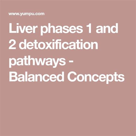 Liver Phases 1 And 2 Detoxification Pathways Balanced Concepts