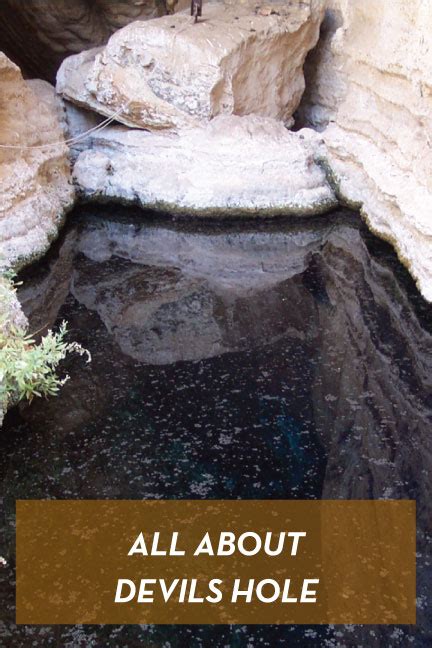 Did you know? Devils Hole - Death Valley Natural History Association