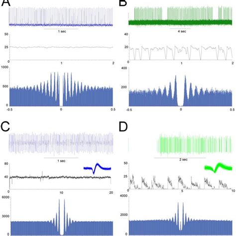 A And B Represent Extracellular Recordings Of The Spike Rate From Two Download Scientific