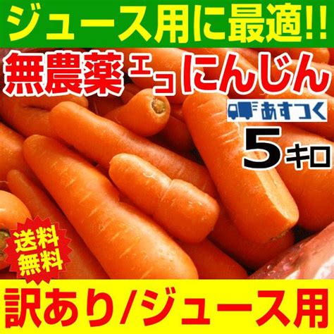 無農薬人参 5kg 洗い 無農薬にんじん 5キロ 無農薬エコにんじん 5kg 1880円 野菜・きのこ