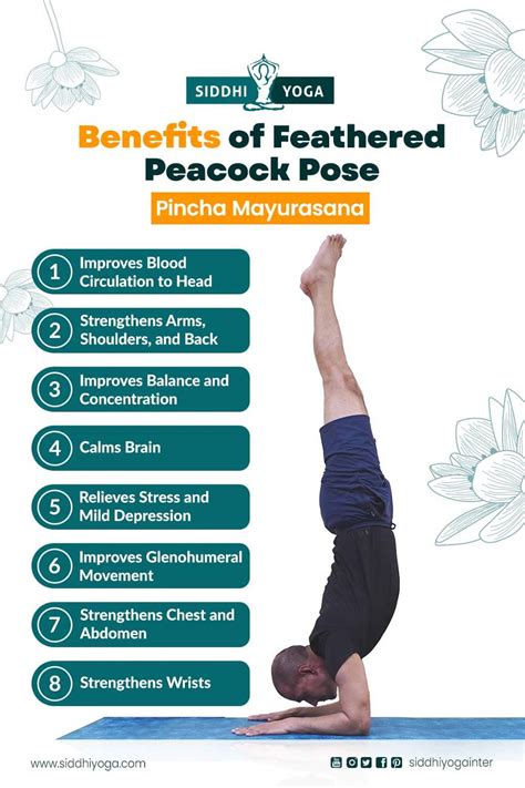 Mayurasana Benefits