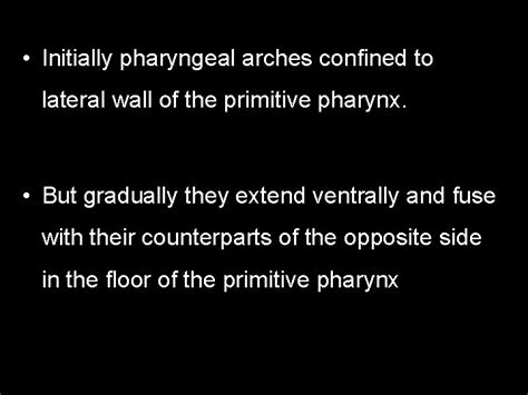 Pharyngeal Arches Primitive Pharynx Stomodeum Hind Brain Vesicle