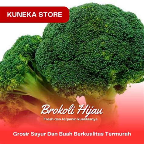 Jual Brokoli Hijau Fresh Segar Shopee Indonesia