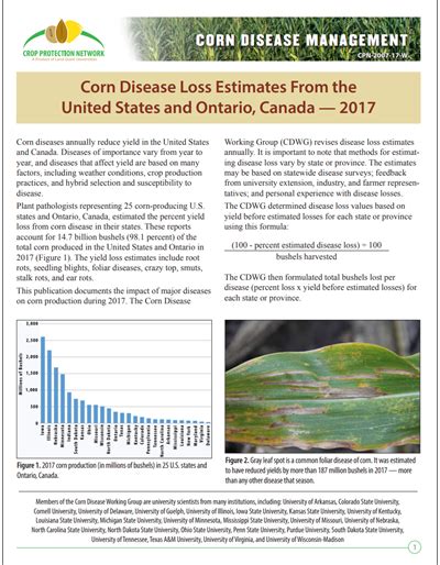 A Farmer's Guide to Corn Diseases