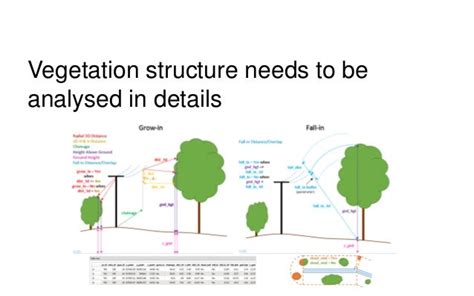 Managing Power Line Vegetation Risk With Fme