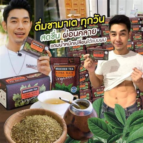 Macher Tea Yerba Mate Macher Tea Machertea