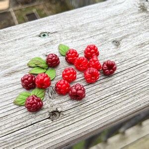 Video Tutorial Polymer Clay Tutorial Polymer Clay Raspberries