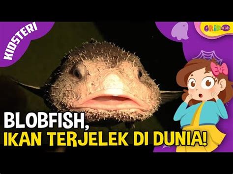 Misteri Blobfish Di Kedalaman Laut Yang Dinobatkan Menjadi Ikan