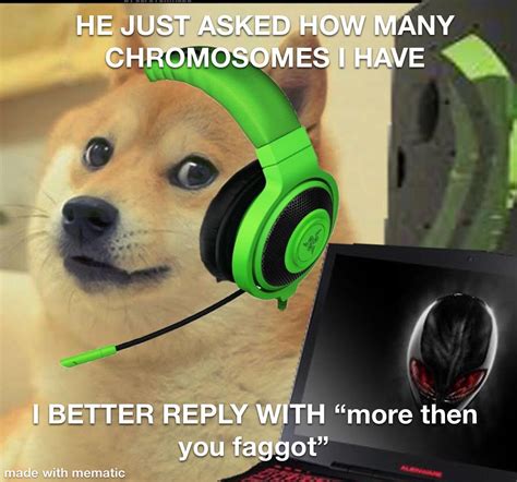 Le epic gamer doge : r/dogelore