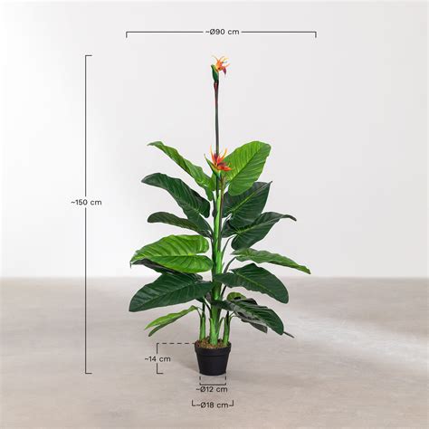 Plante Artificielle D Corative Oiseau De Paradis Cm Sklum