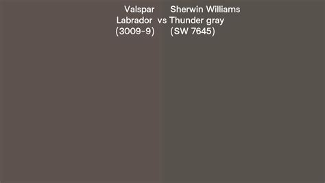 Valspar Labrador 3009 9 Vs Sherwin Williams Thunder Gray SW 7645