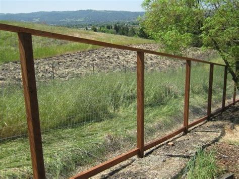 Deer fence ideas – why do you need one and how to choose it?