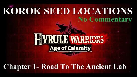 Hyrule Warriors AOC Korok Seed Locations Chapter 1 Road To The