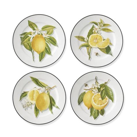 Meyer Lemon Salad Plates Mixed Set Of 4 Williams Sonoma