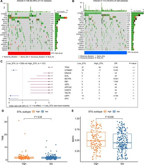 Somatic Mutation Profiles Between Stil High And Stil Low Expression