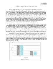 Analysis Of Mendelian Genetics In Live Corn Plants Docx Dylan Kuntz