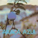 Caetano Veloso - album Araca Azul | Canciones