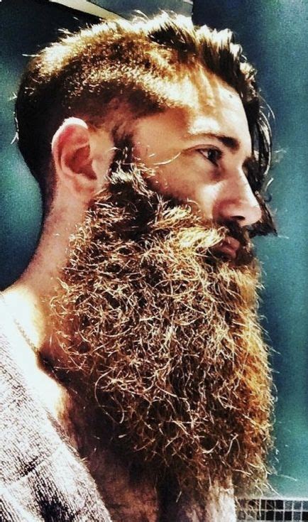 Pin By Abel On Beards And Scruff Long Beard Styles Hair And Beard