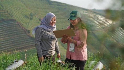 BPS Buka Rekrutmen Calon Mitra Statistik 2024 Simak Syarat Dan Cara