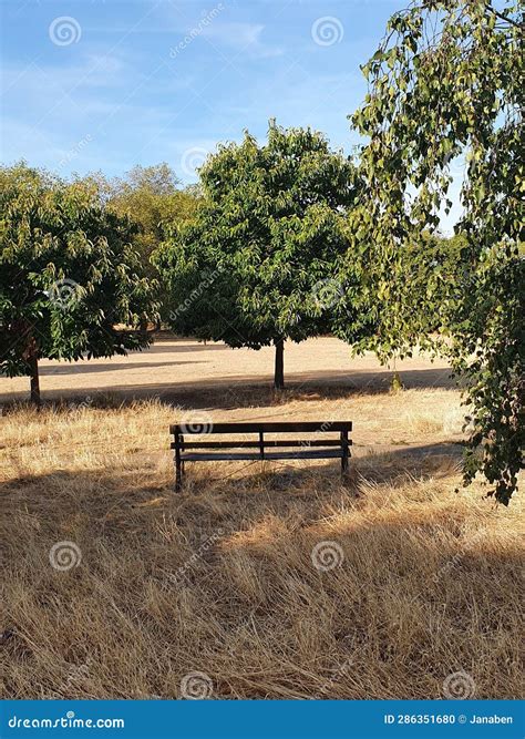 Walking in the Park, Beautiful Colours Stock Photo - Image of park ...