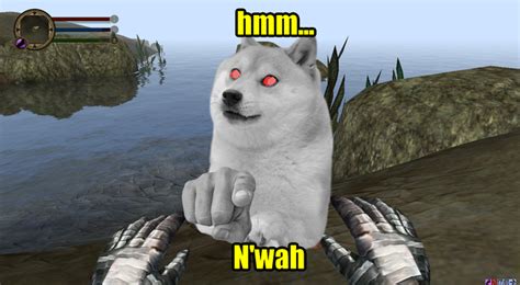 le best game ever so i am told | /r/dogelore | Ironic Doge Memes | Know ...