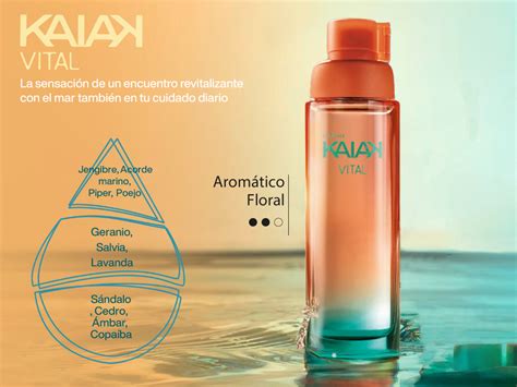 Descubrir Imagen Precio De Perfume Natura Kaiak Abzlocal Mx