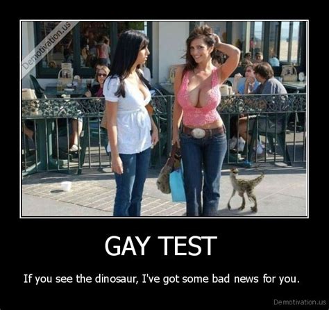 The Gay Test Joke Pvgasw