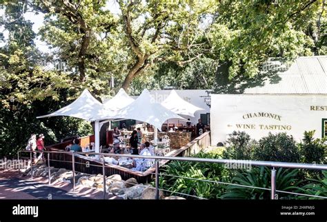 Wine Tasting In The Chamonix Vineyard Franschhoek South Africa Stock ...