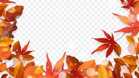 Autumn Maple Leaves White Transparent Autumn Leaves Maple Border Red