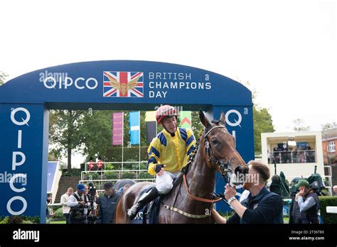 Ascot Berkshire Reino Unido 21º de octubre de 2023 Caballo