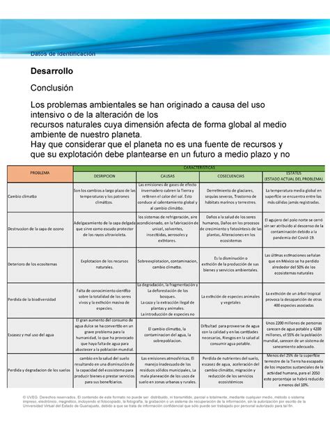 Cuadro Sin Ptico Problemas Ambientales Datos De Identificaci N