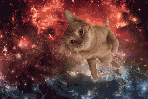 Space Cat Tumblr Gifs