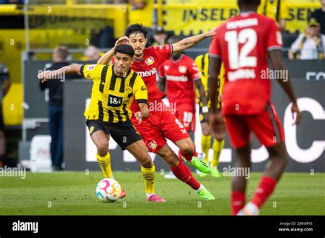 Mahmoud Dahoud BVB Sardar Azmoun Leverkusen Borussia Dortmund