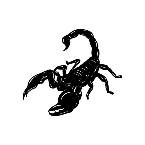 Black Scorpion Royalty Free Images Stock Photos Pictures