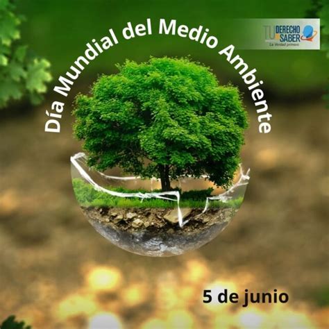 5 De Junio Día Mundial Del Medio Ambiente