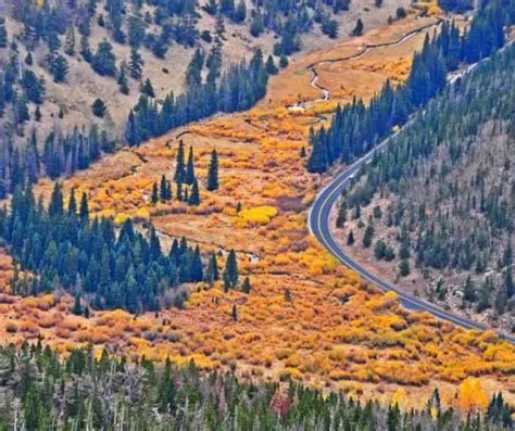 Fall in Colorado- 15 Great Spots for Colorado Fall Foliage