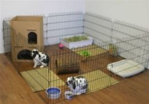 Indoor Rabbit Homes - For the Happiness of Your Rabbit | hubpages