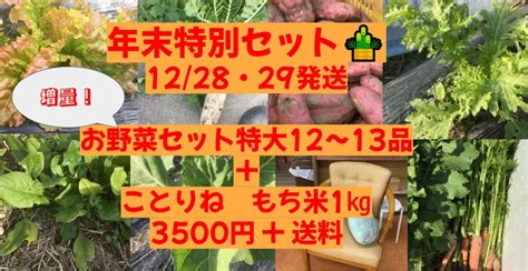 【年末特別セットお正月に嬉しいお野菜どっさり＋ことりね・もち米1㎏付き！（数量限定販売）】 こひめ農園