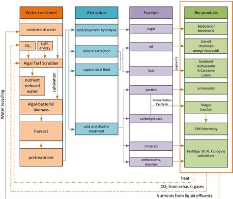 Schematic Diagram Of A Biorefinery Concept For Nutrient Rich