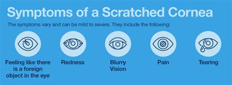 Eye Cornea Damage Symptoms - Infoupdate.org