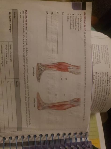 Solved hypothalamus, pituitary gland Feedback loop in which | Chegg.com