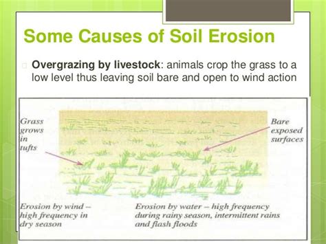 Soils Erosion