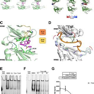 TMs Modulate CXCL10 And Il1b Secretion In LPS Induced Peritonitis Mice