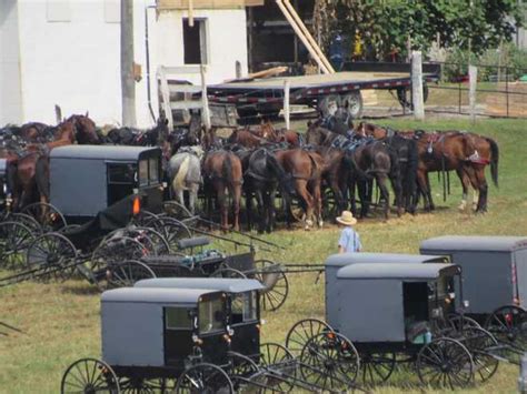 Photographer captures Amish barn-raising in southern Pa.