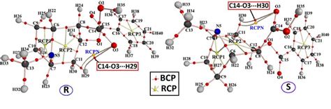 Molecular graphics of two species of benzoylecgonine in gas phase ...